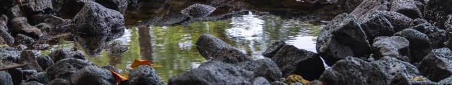 Reflecting Pool